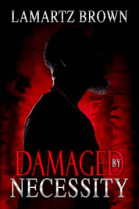 Damaged By Necessity: A Stone Cold Love Story cover