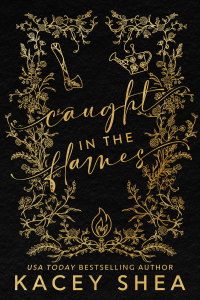 Caught in the Flames cover