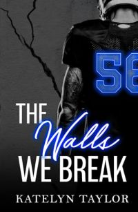 The Walls We Break cover