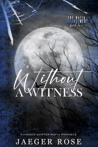 Without A Witness cover