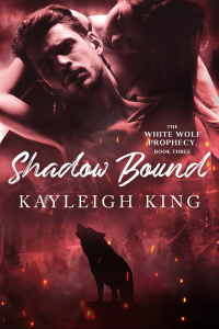 Shadow Bound cover