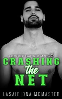 Crashing the Net cover