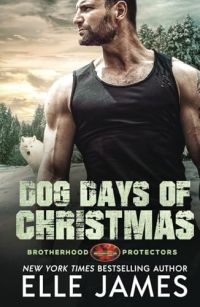 Dog Days of Christmas cover