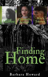 Finding Home Mystery Series cover