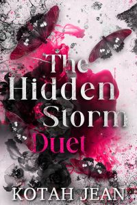 The Hidden Storm cover