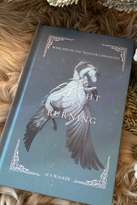 Night Sky Burning cover