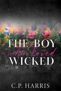 The Boy Who Loved Wicked cover