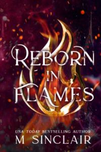 Reborn In Flames cover