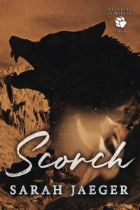 Scorch cover