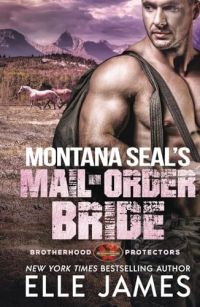 Montana SEAL's Mail-Order Bride cover