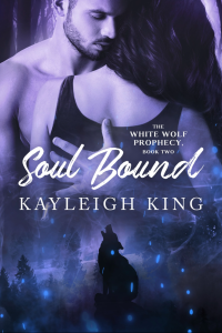 Soul Bound cover