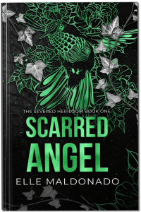 Scarred Angel cover