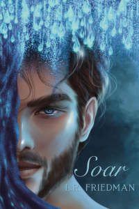 Soar cover