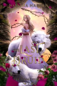 The Last Druid cover