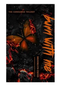 Burn With Me cover