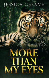 More Than My Eyes cover