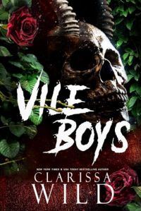 Vile Boys cover