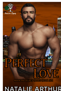 Perfect Love cover