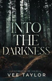 Into The Darkness cover