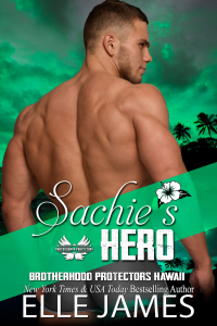 Sachie's Hero cover