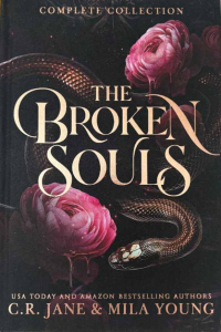 The Broken Souls cover