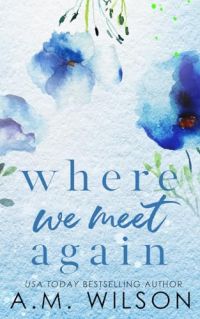 Where We Meet Again cover