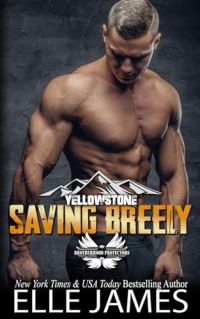 Saving Breely cover