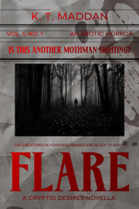 Flare cover
