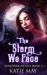 The Storm We Face cover