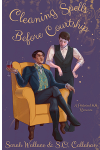 Cleaning Spells Before Courtship cover