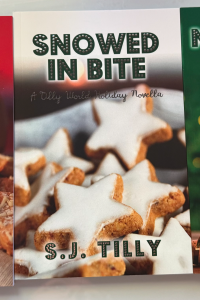 Snowed in Bite cover