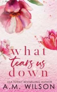 What Tears Us Down cover