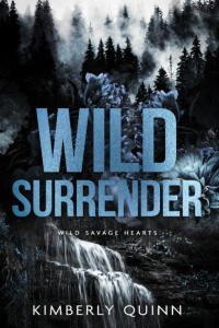 Wild Surrender cover