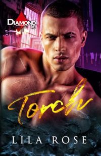 Torch cover