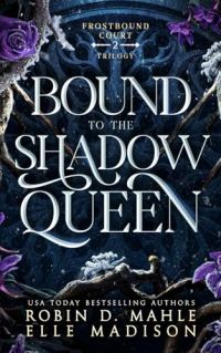 Bound to the Shadow Queen cover