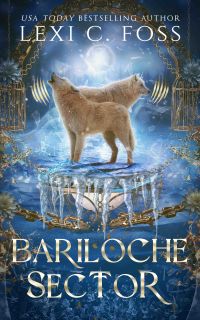 Bariloche Sector cover