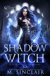 Shadow Witch cover