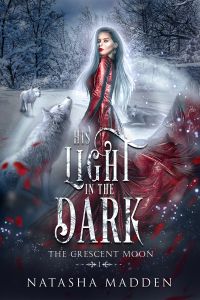 His Light in the Dark cover