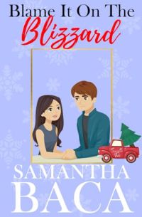 Blame It On The Blizzard cover