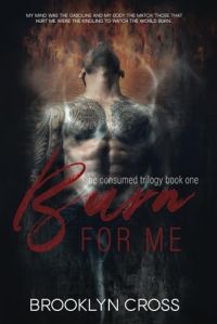 Burn For Me cover