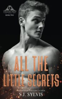 All the Little Secrets cover