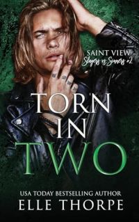 Torn In Two (Discreet) cover