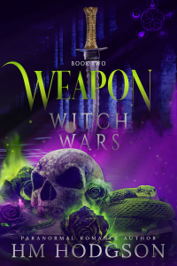 Weapon cover