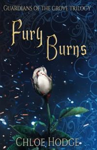 Fury Burns cover