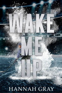 Wake Me Up cover