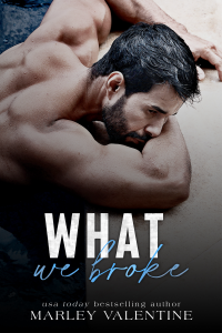What We Broke cover