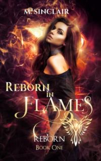 Reborn In Flames cover