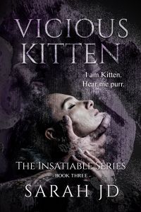 Vicious Kitten: A Dark RH Romance (2024 Cover) cover