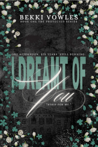 I Dreamt Of You cover