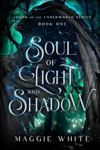 Soul of Light and Shadow cover